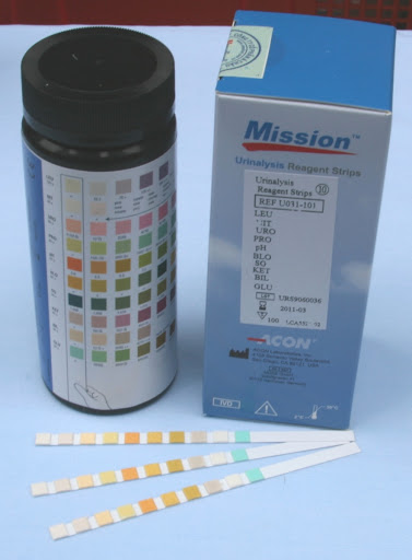 Que thử nước tiểu Mission 11TS ACON